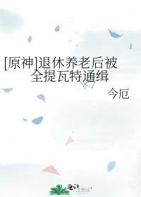 原神 养老