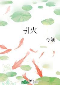 引火汤的标准配方