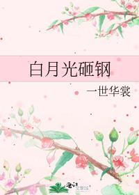 白月光砸钢txt宝书网
