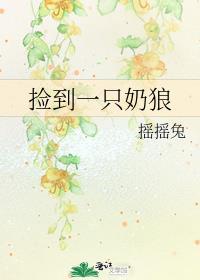 捡到一只奶狼讲的什么