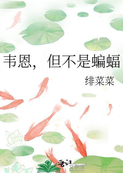 换装系统快穿
