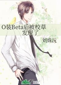 o装beta后被校草发现了晋江免费阅读