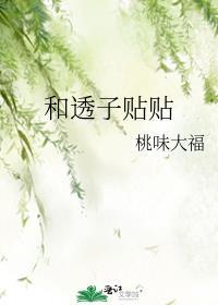 透皮贴专用贴空贴
