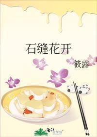 石缝花开晋江