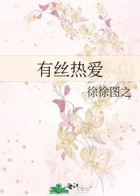 有丝热爱TXT