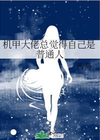 你 机甲大师