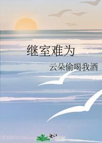 继室难为沈兰溪