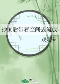 抄家前夕有空间装财产