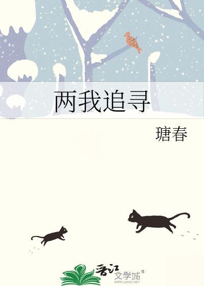 我追寻什么作文