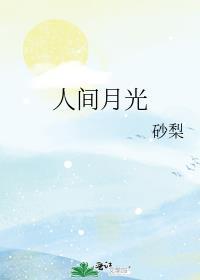 人间月光1v4笔趣阁