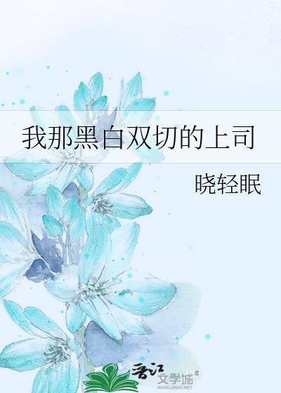 我那黑白双切的上司番外免费阅读