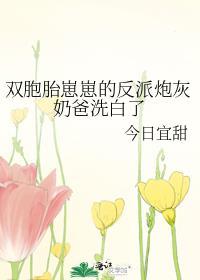 双胞胎崽崽的反派炮灰奶爸洗白了免费