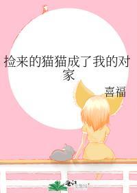 捡回家的猫