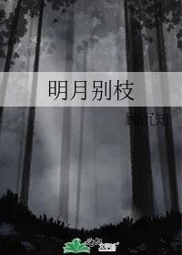 明月别枝惊鹊的别字是什么意思