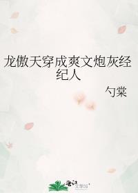 龙傲天穿成爽文炮灰经纪人 勺棠