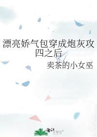漂亮娇气包穿成炮灰攻四之后作者卖茶的小女巫