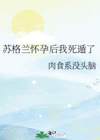 stornoway苏格兰