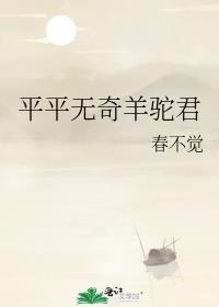 平平无奇羊驼君书单详情