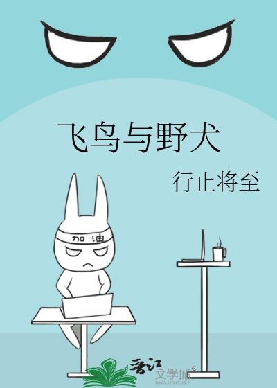飞鸟与狗在线阅读