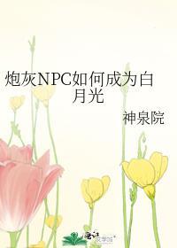 炮灰是如何成为团宠的