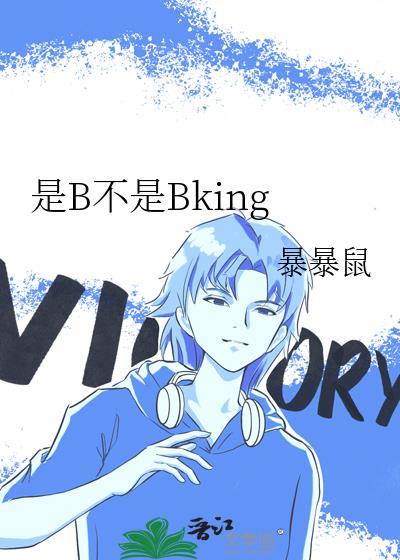 是b不是bking男主