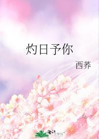 灼灼日晖是什么意思
