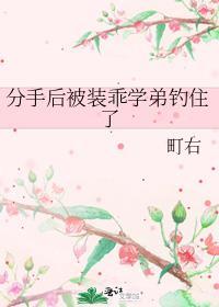 分手后被装乖学弟钓住了笔趣阁