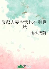 反派夫妻今天也在明算账百度