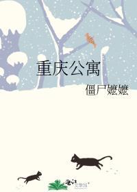 重庆公寓讲的什么