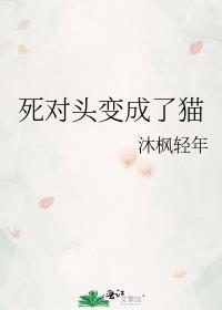 死对头变成了猫沐枫轻年