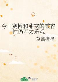 赛博感什么意思