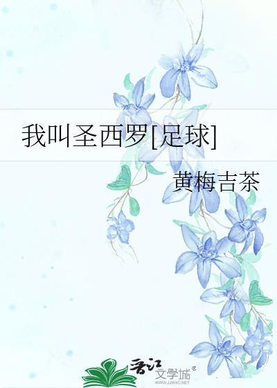 足球我叫圣西罗txt