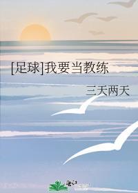 足球我要当教练免费阅读