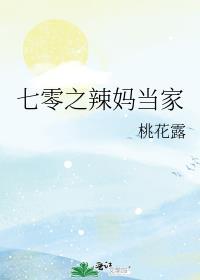 七零辣妈当家免费阅读