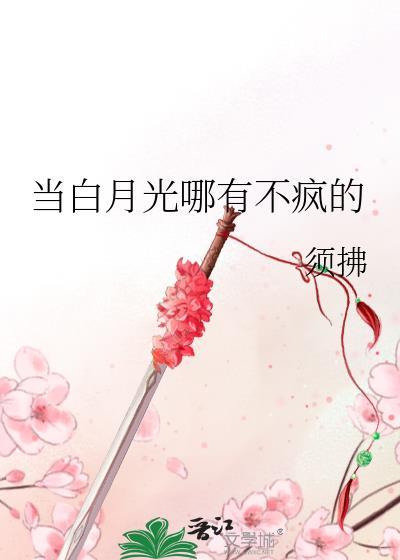 我靠马甲通关