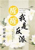 醒醒我是反派TXT