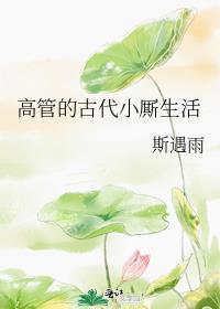 高管的古代小厮生活分节