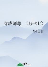 穿成师尊但开组会晋江