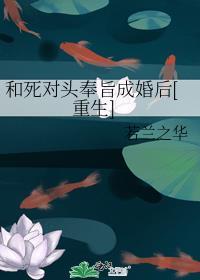 米兰传奇守门员