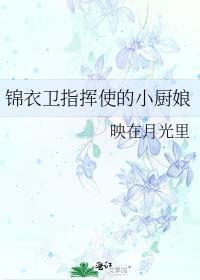 锦衣卫指挥使的小厨娘 映在月光里