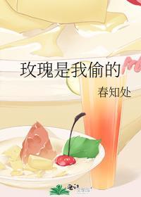 玫瑰是我偷的是什么意思