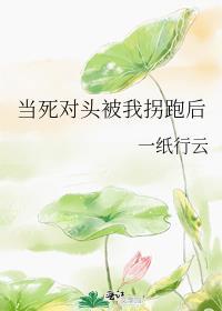 当死对头被我拐跑后免费