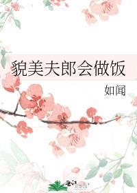 貌美夫郎会做饭格格党