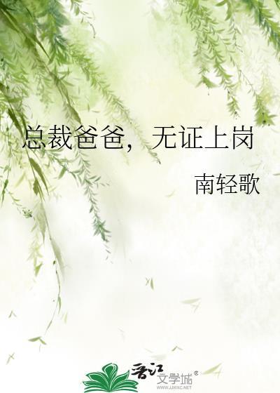 总裁爸爸无证上岗最新章节更新