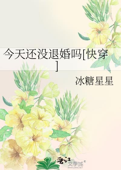 今天退婚了吗