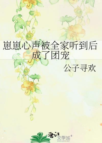 崽崽是什么