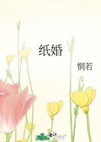 纸婚厚爱