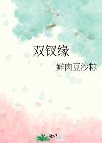 双钗缘免费阅读