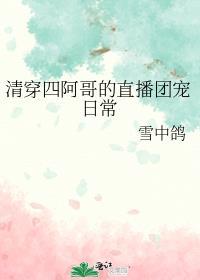 四阿哥清穿