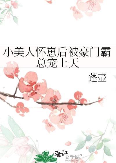 小美人怀崽后被豪门霸总宠上天by袁舟律